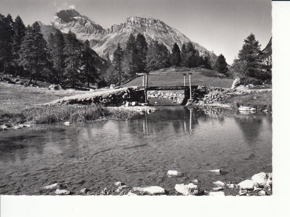 Cartoline postali: Preda ca. 1955 – Usato da Bürglen TG venduto da StampGraf