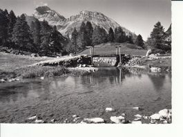 Preda ca. 1955