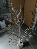Deko-Baum in Weiss inkl. Topf & Steinen  Top Zustand!