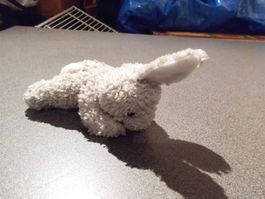 Hase grau, liegend