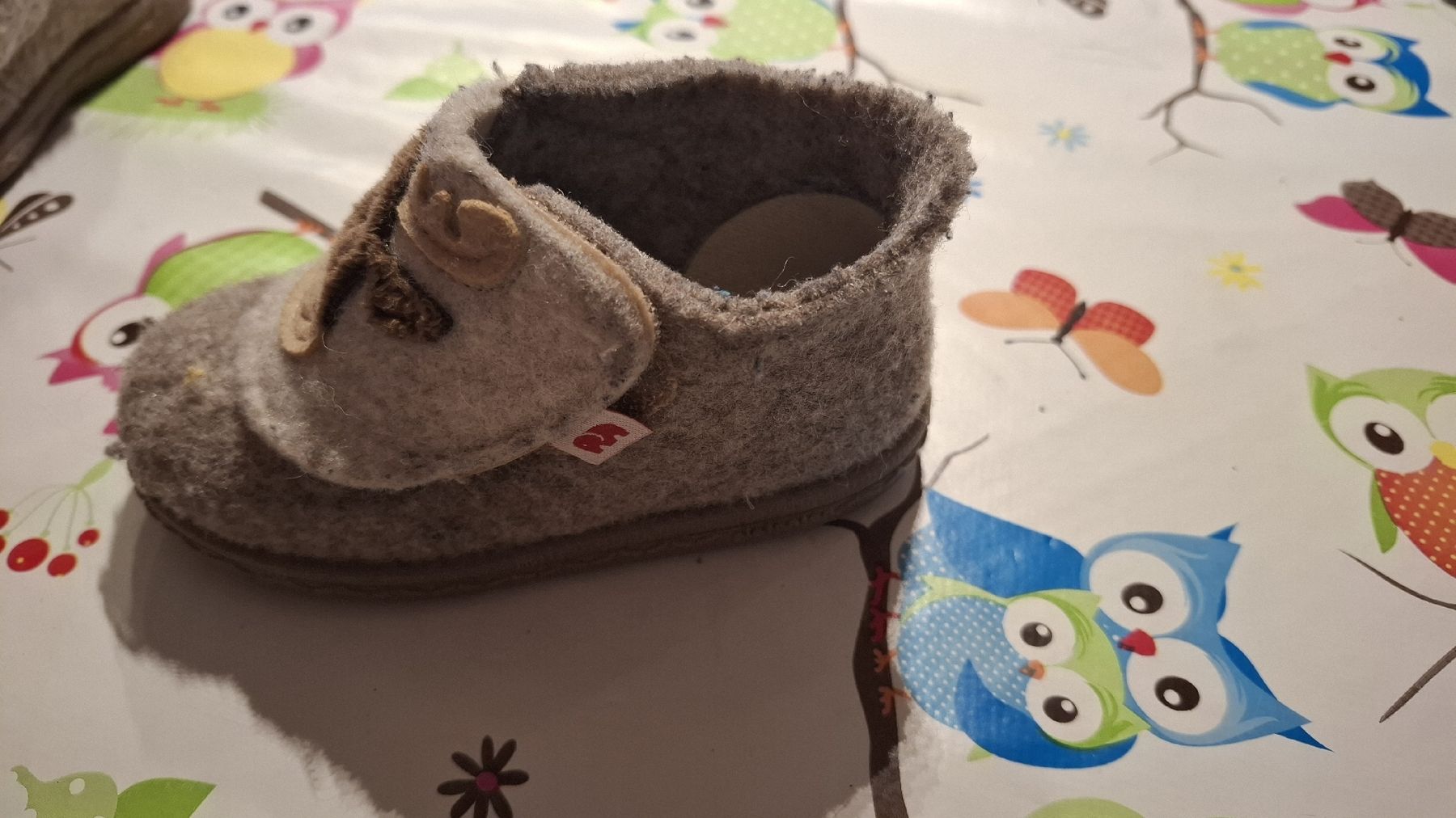 Elefanten Scarpe per ragazzi: Elch-Hausschuh Gr. 21 Filz – Usato da Schnottwil venduto da Cici89 1