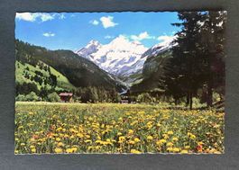 AK Frühling in Kandersteg mit Blüemlisalpgruppe