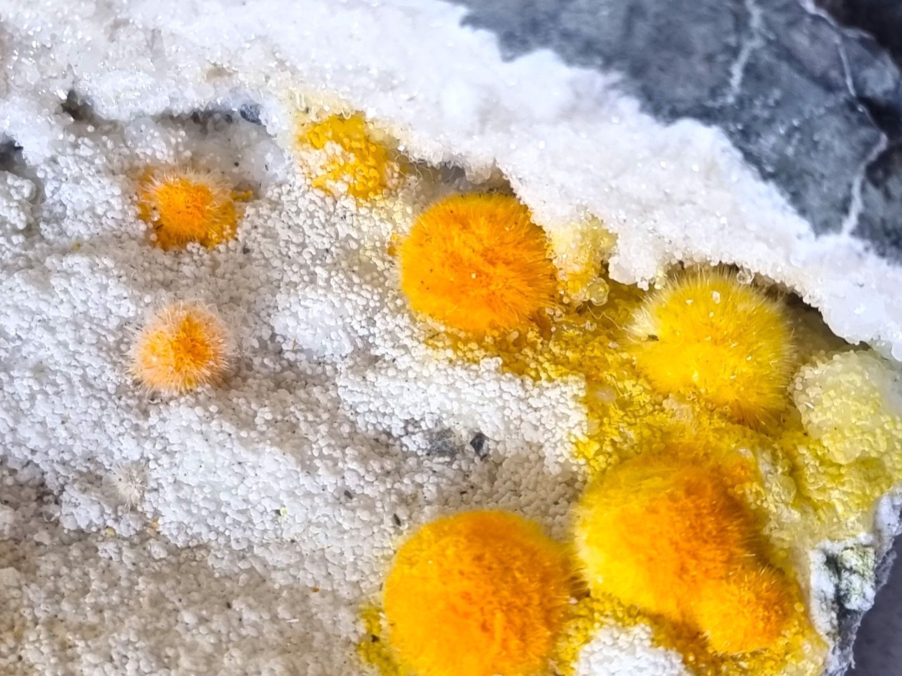 Mineralien & Heilsteine: SPHERE CRYSTALS YELLOW OKENITE SPECIMEN 9.4 Kg – Gebraucht aus Figino von panshop 2