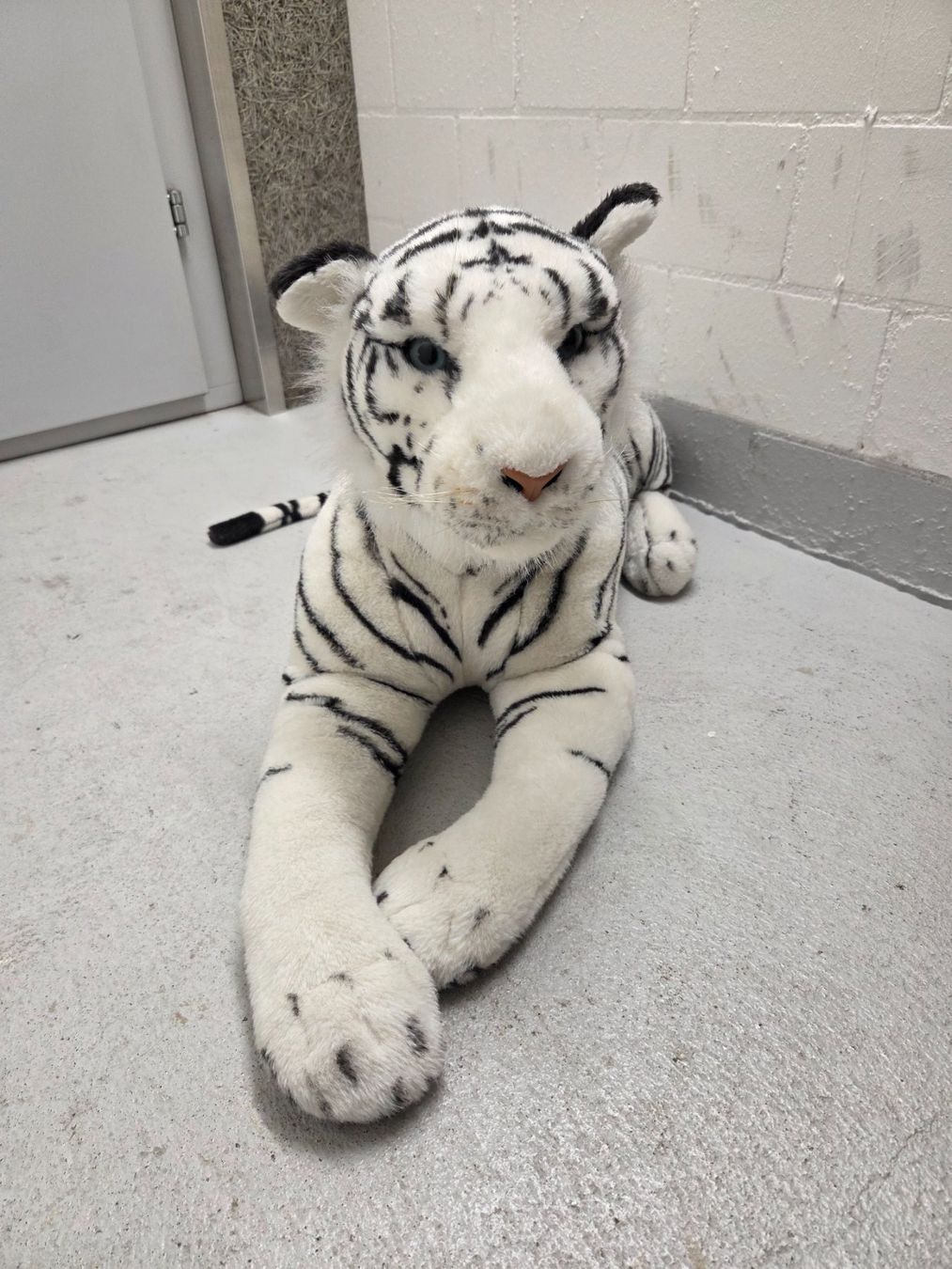 Giocattoli: Weisser Tiger,  Plüschtier Gross – Usato da Winterthur venduto da trise80