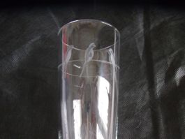 Glas/Gläser 6 Stück mit geschliffenem Motiv Vogel  **NEU**