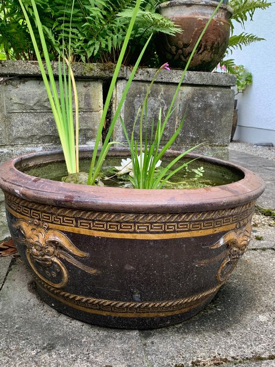 Schöner Keramik Teich/Blumentopf im asiatischen Stil Kaufen auf Ricardo