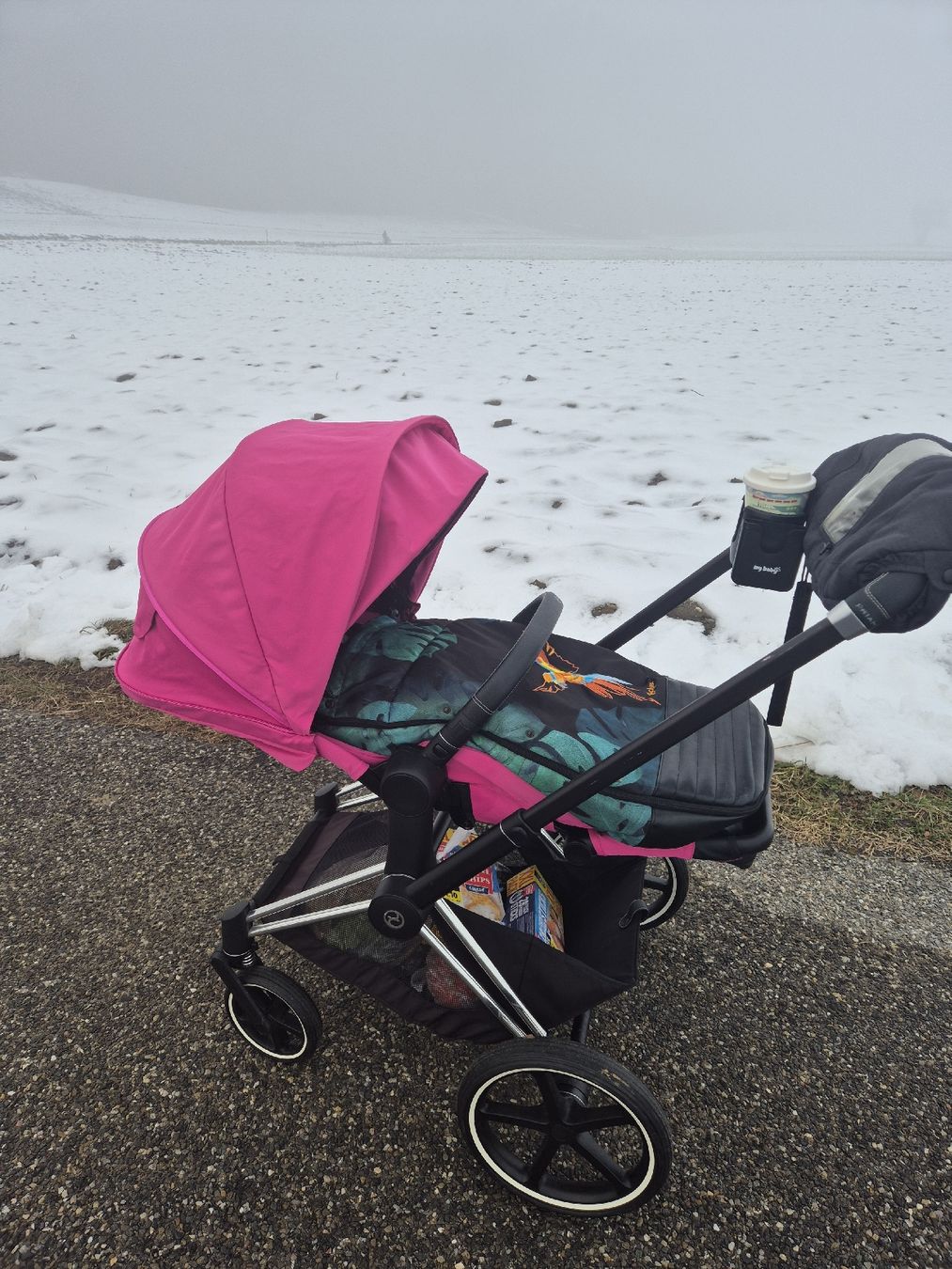 Cybex Carrozzine: Kinderwagen Cybex Platinum Priam – Usato da Schöftland venduto da nad_595y 2