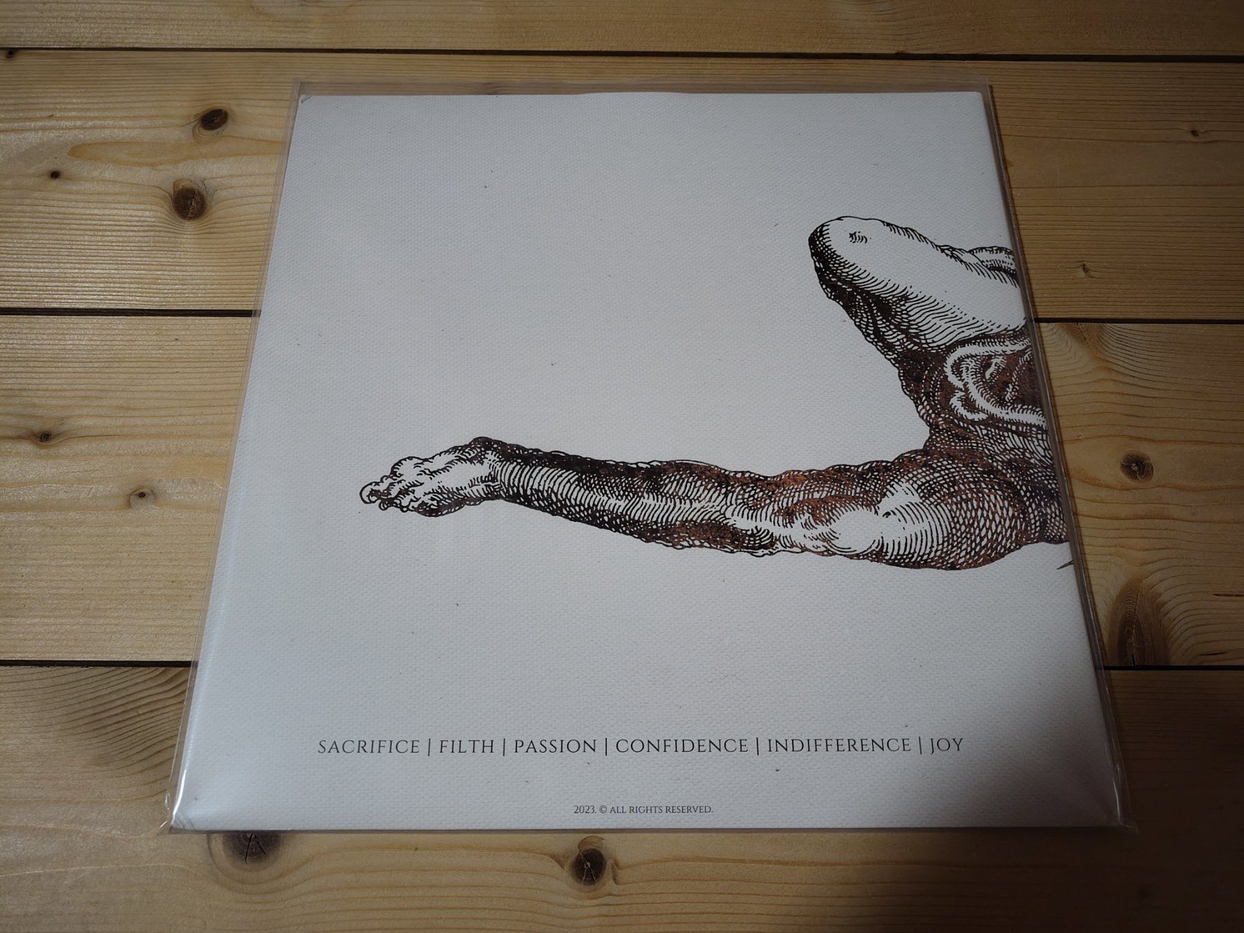 Dischi in vinile: Challenger Deep - III. THE PATH – Usato da Wasterkingen venduto da Palu17 2