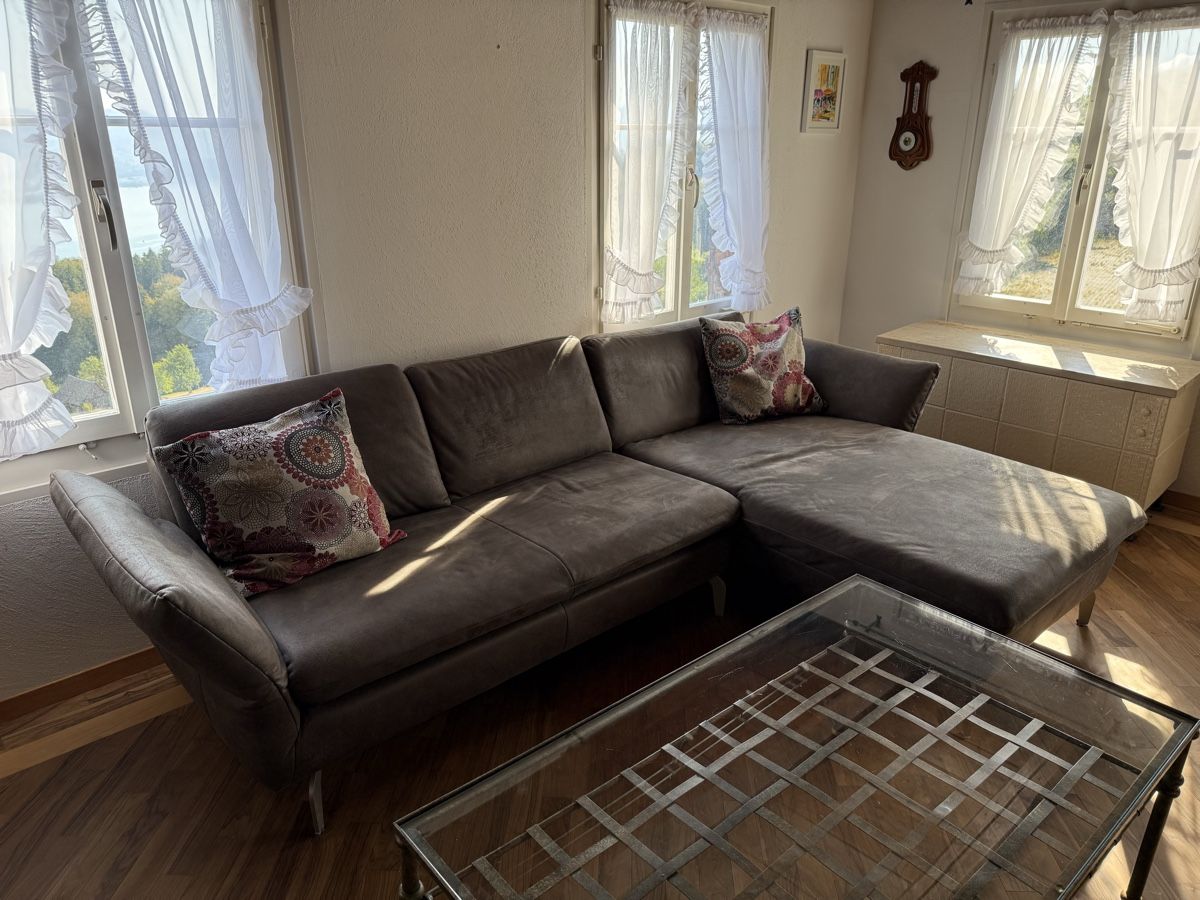 Divani: Sofa – Usato da Pfäffikon SZ venduto da mas_b6cm 3
