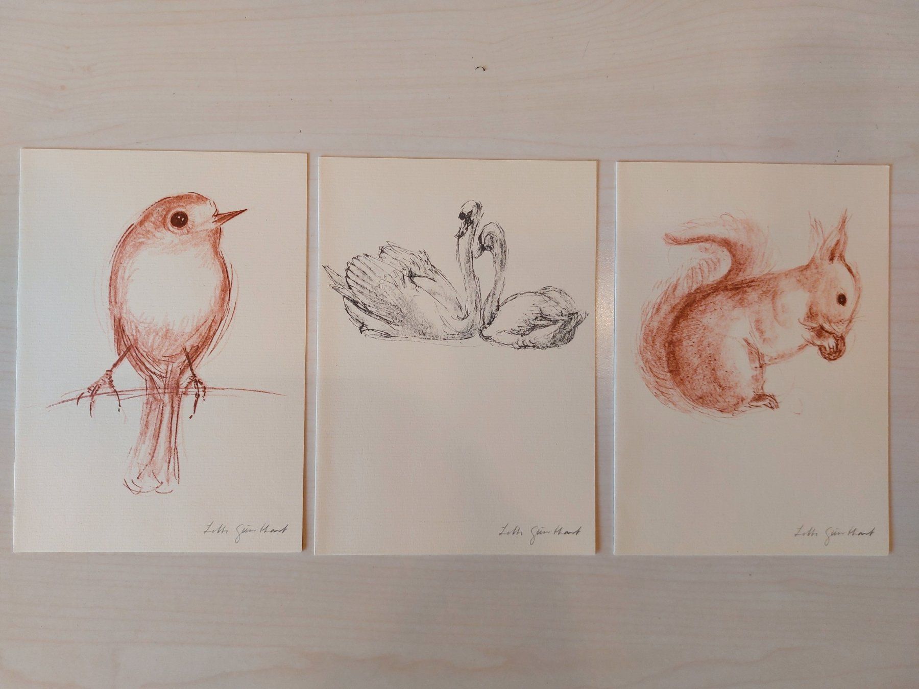 Gemälde: Kunstmappe Lotte Günthart meineTiere – Gebraucht aus Heerbrugg von Sonytime 4
