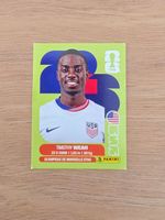 Panini Fifa AUS USA 12