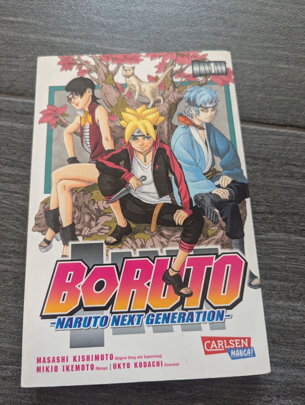 Libri: Comic Boruto – Usato da Wangen ZH venduto da Nadja056