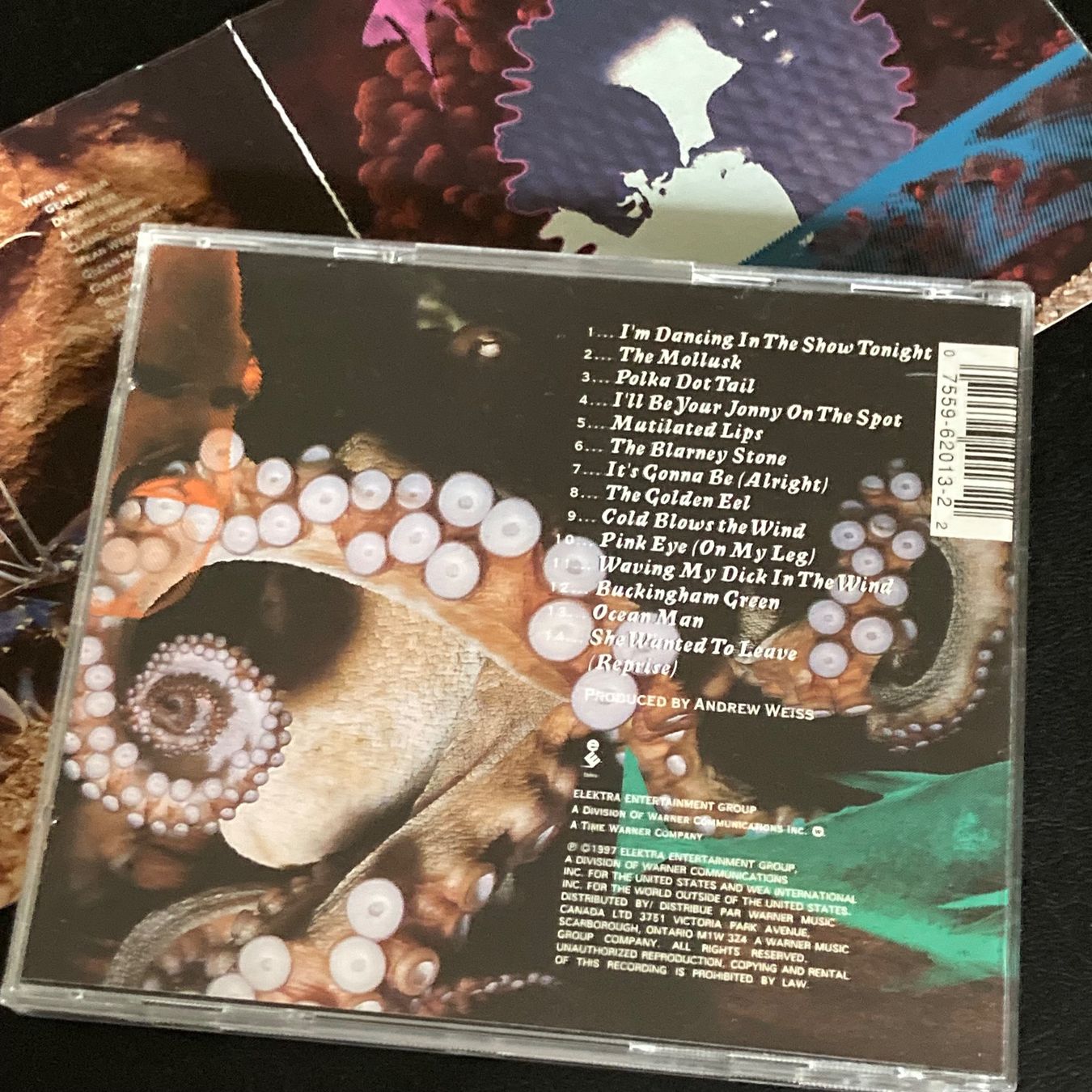 CDs: Ween - The Mollusk – D'occasion à Bern par Ntsamina 1