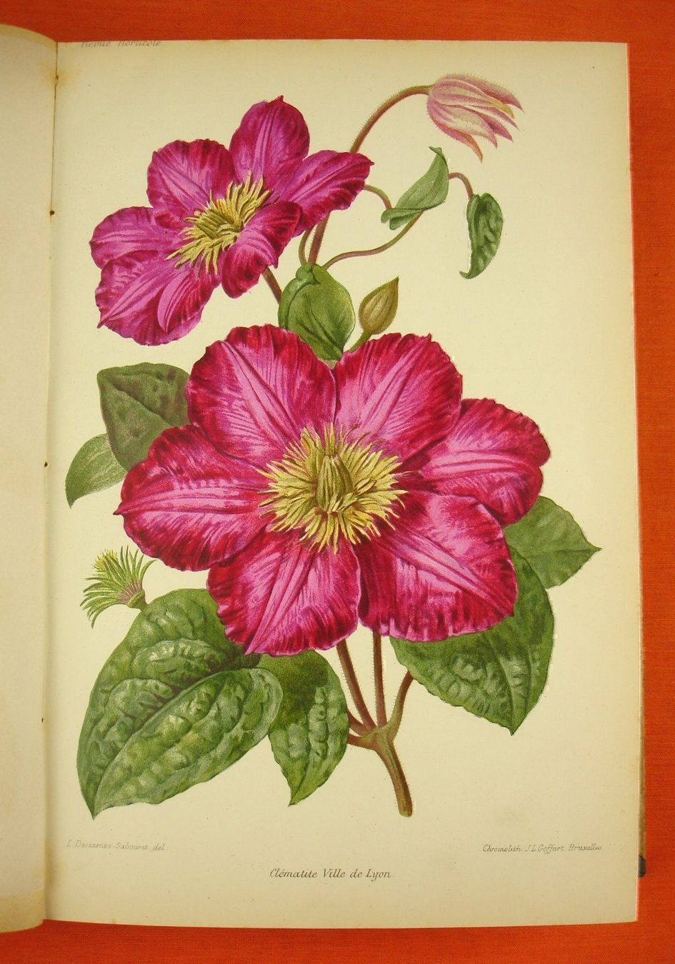 Livres: REVUE HORTICOLE 1899, LITHOS – D'occasion à Grüningen par Kartensammler 5