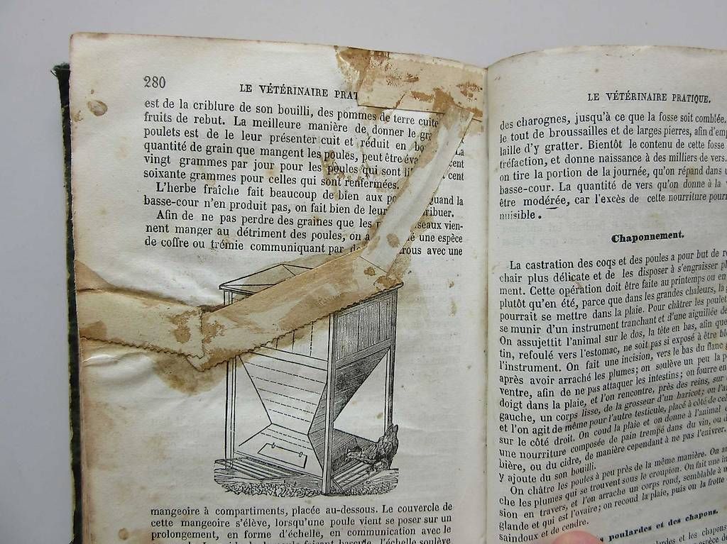 Libri: Le vétérinaire pratique E. Hocquart - fin 19ème – Usato da Chernex venduto da Nouveaunom 4