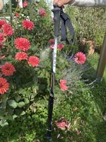 Leki Skistöcke 110 cm schwarz weiss