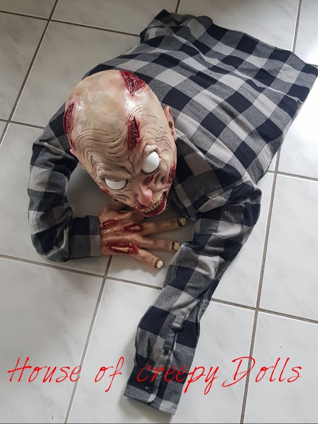 Tutte le decorazioni: HORROR/ HALLOWEEN / ZOMBIE – Nuovo e nell'imballaggio originale da Root venduto da LifestyleAccessoires 4