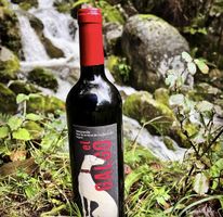 Vin rouge DO Tierras de Castilla (2bouteilles)