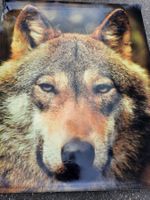 Grosses XL Bild Wolf 150cm x 124cm