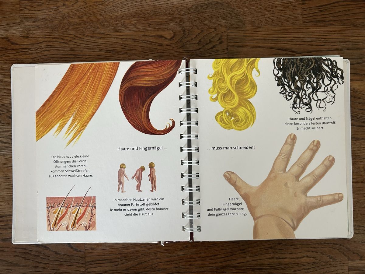 Bücher: Kinderbuch Set WWW juniors mit 4 Büchern – Gebraucht aus Wolhusen von eve_m6cg 3