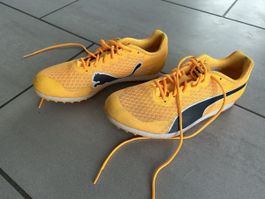 Leichtathletikschuhe Gr. 37