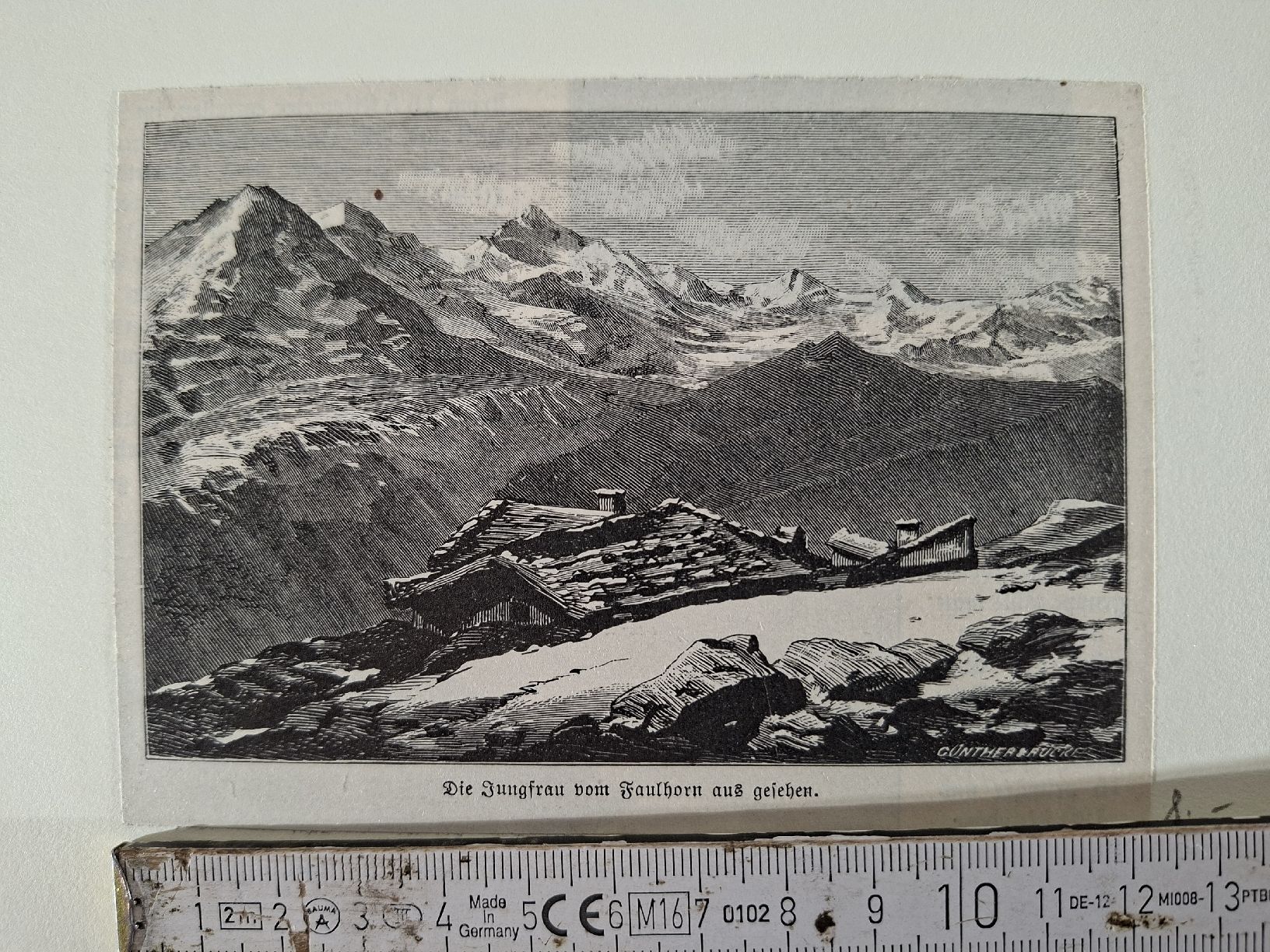Incisioni: Lot 61, 10 Stiche  – Usato da Grindelwald venduto da carro5 5