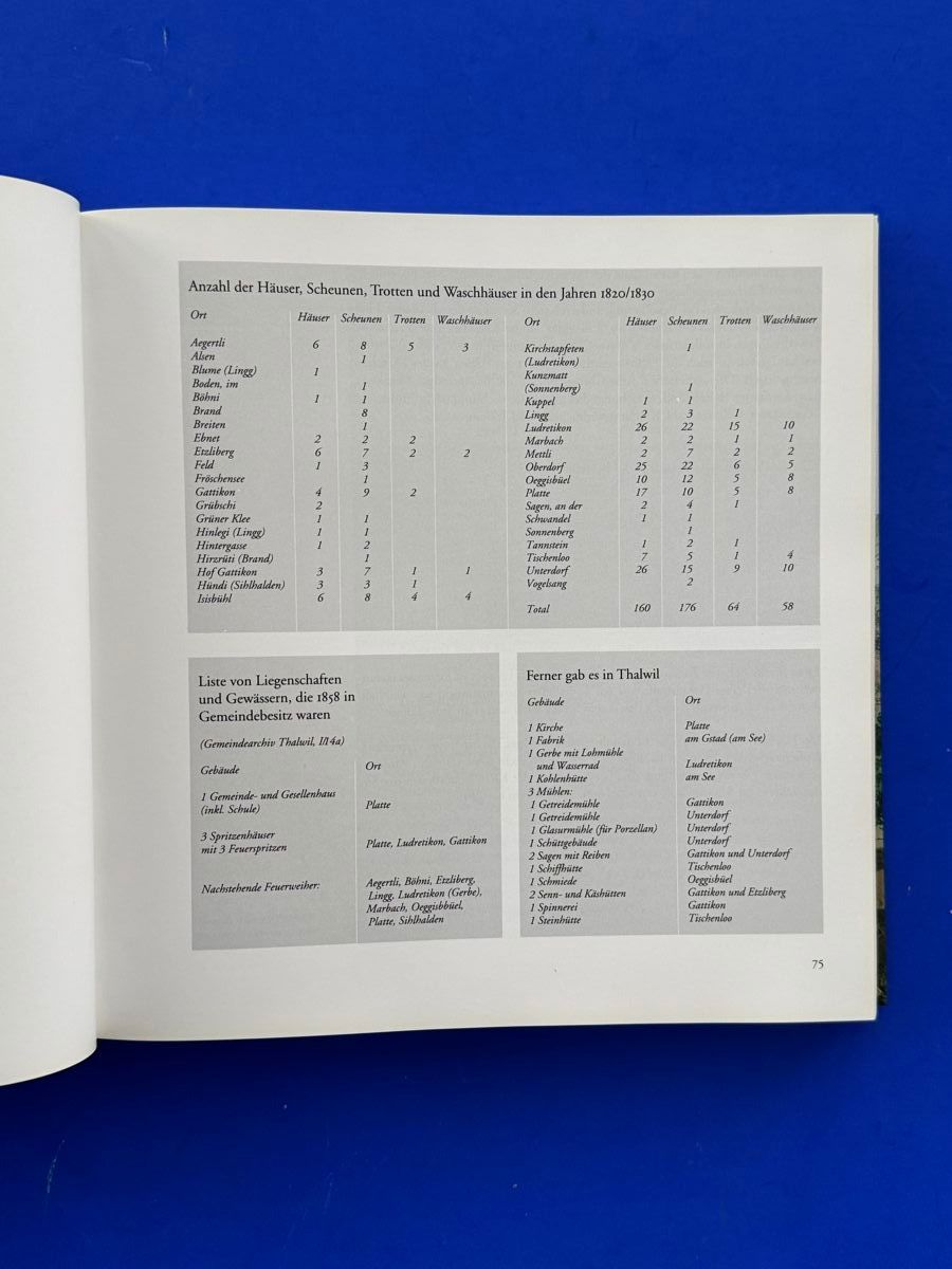 Libri: Chronik der Gemeinde Thalwil. 1995 – Usato da Adliswil venduto da buch_und_kunst 4