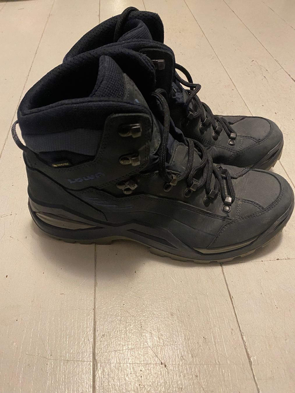 Lowa Scarpe da uomo: LOWA Renegade EVO GTX Mid – Usato da Zollikon venduto da serge_zurich 2