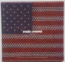 US-Flagge «Stars & Stripes» in der zeitgenössischen Kunst