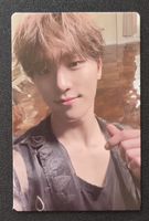 Seventeen Dino Photocard FML - Kpop