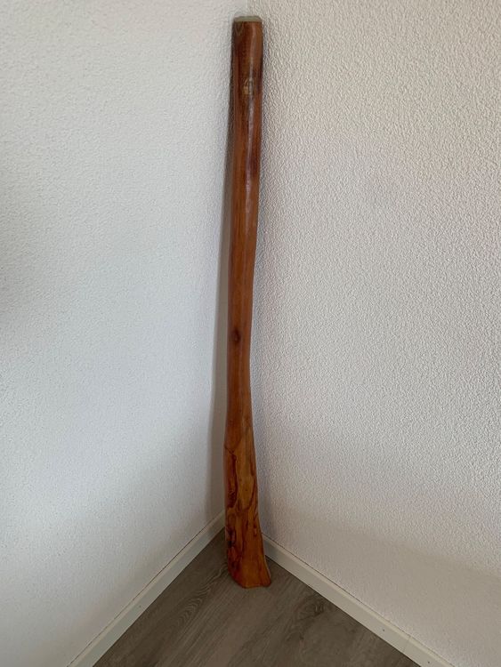 Didgeridoo Original Kaufen auf Ricardo