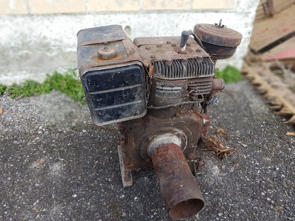 Briggs&Stratton Motor | Kaufen auf Ricardo