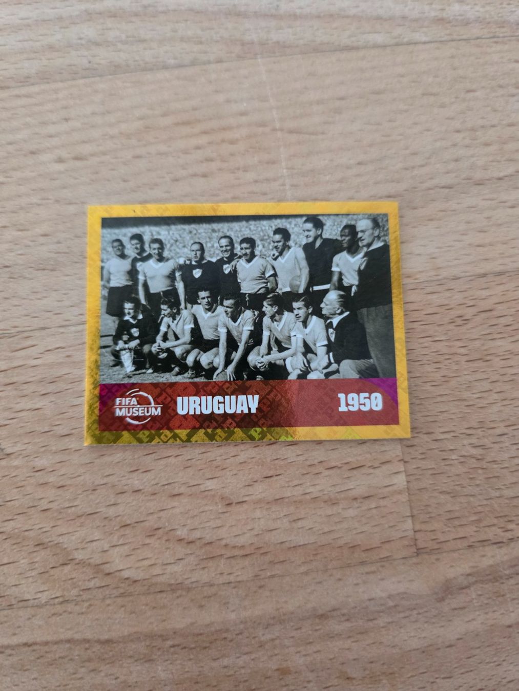 Panini Sammelbilder & Trading cards: Panini Sticker FWC 10 – Gebraucht aus Stäfa von cosc2ch