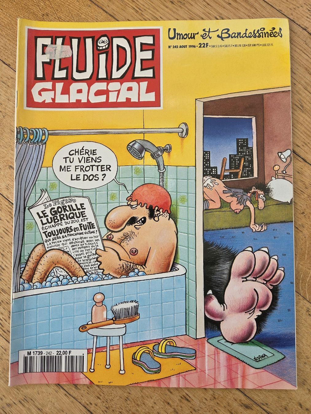 Fumetti: Fluide Glacial No 242 Aout 1996  – Usato da Territet venduto da Cenh