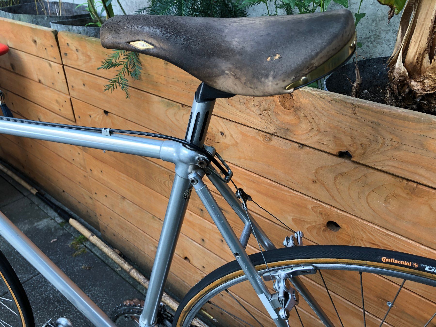 Biciclette: Quervelo Alan mit Campagnolo Nuovo Record – Usato da Riehen venduto da flohropax 2