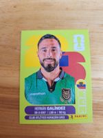 Panini FIFA World Cup ECU 2