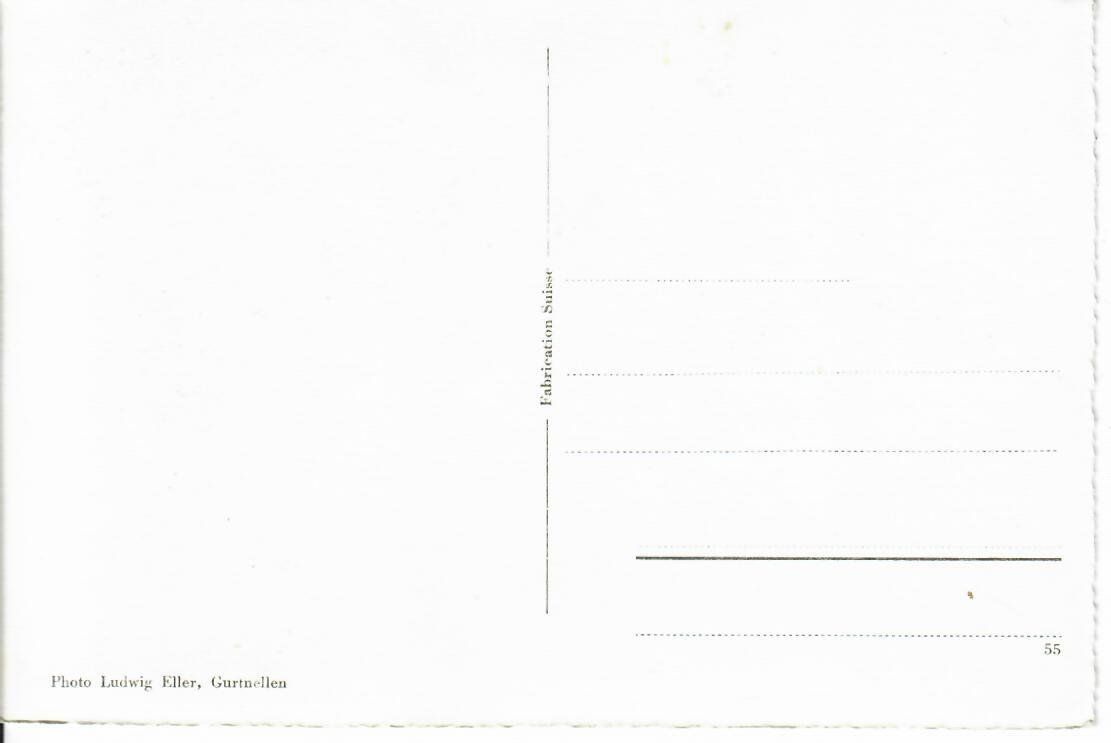 Cartoline postali: Ferienheim C.K.W. am Arnisee – Usato da Hochdorf venduto da Ziegel-16 1