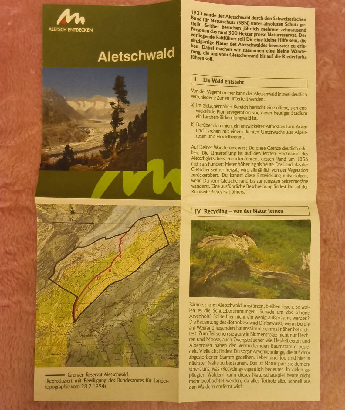 Documenti: Konvolut 8 ältere Prospekte Oberwallis – Usato da Hallau venduto da histoiremerveilleuse 2