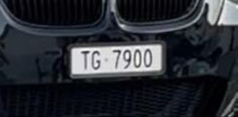 TG 7900 Kontrollschild - Langformat