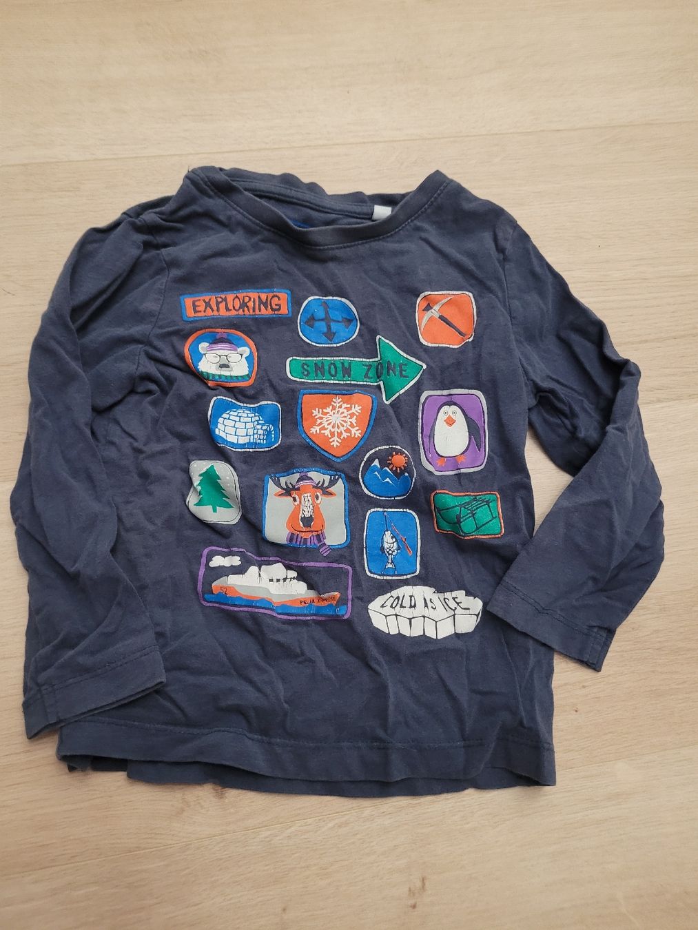 Camicie, T-shirt & Polo: Pullover Gr. 104 – Usato da Lupsingen venduto da sta_wgg5