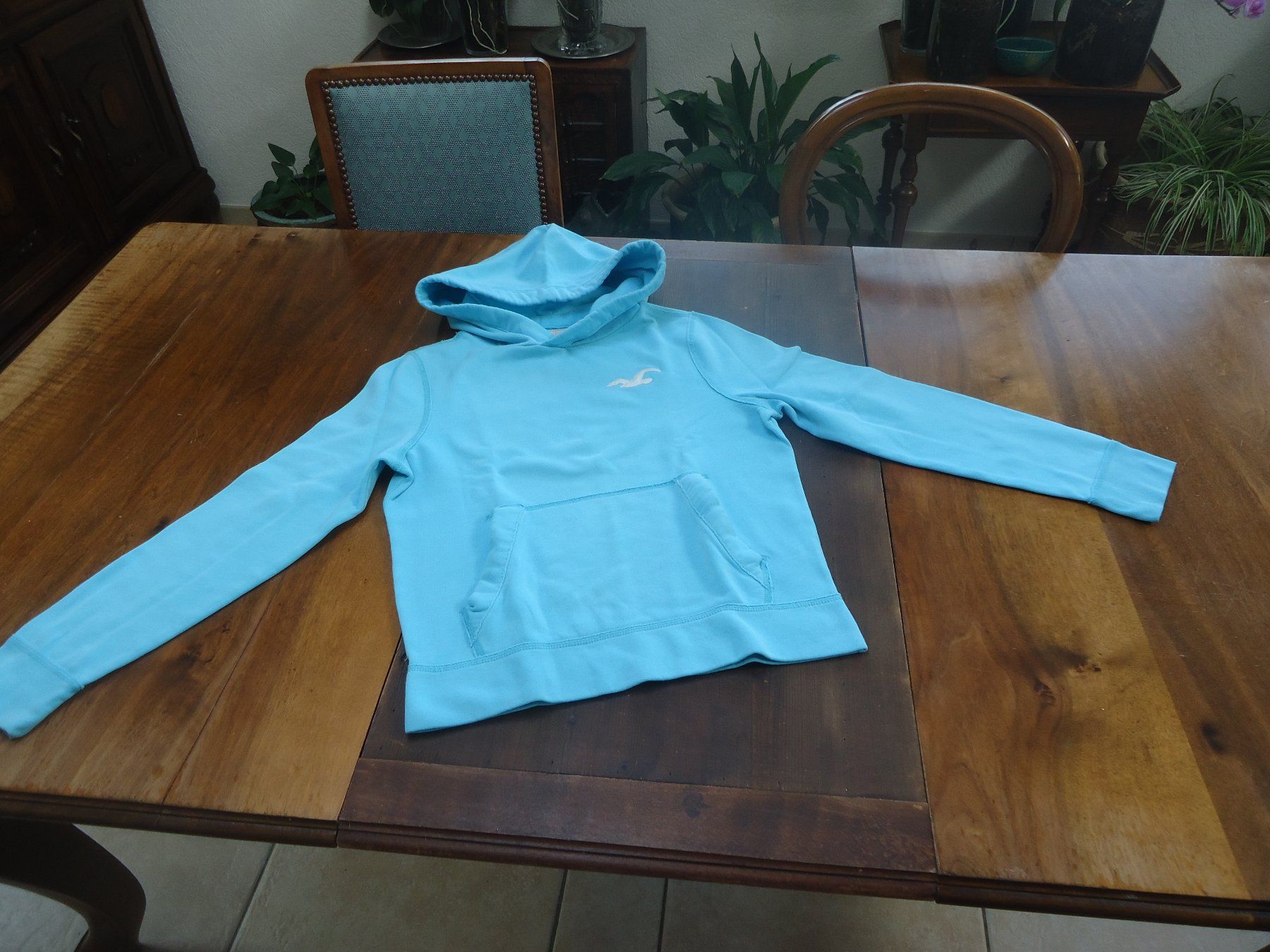 Hollister Maglioni & Felpe: Sweat à capuche Hollister - S – Usato da Vessy venduto da mafabe