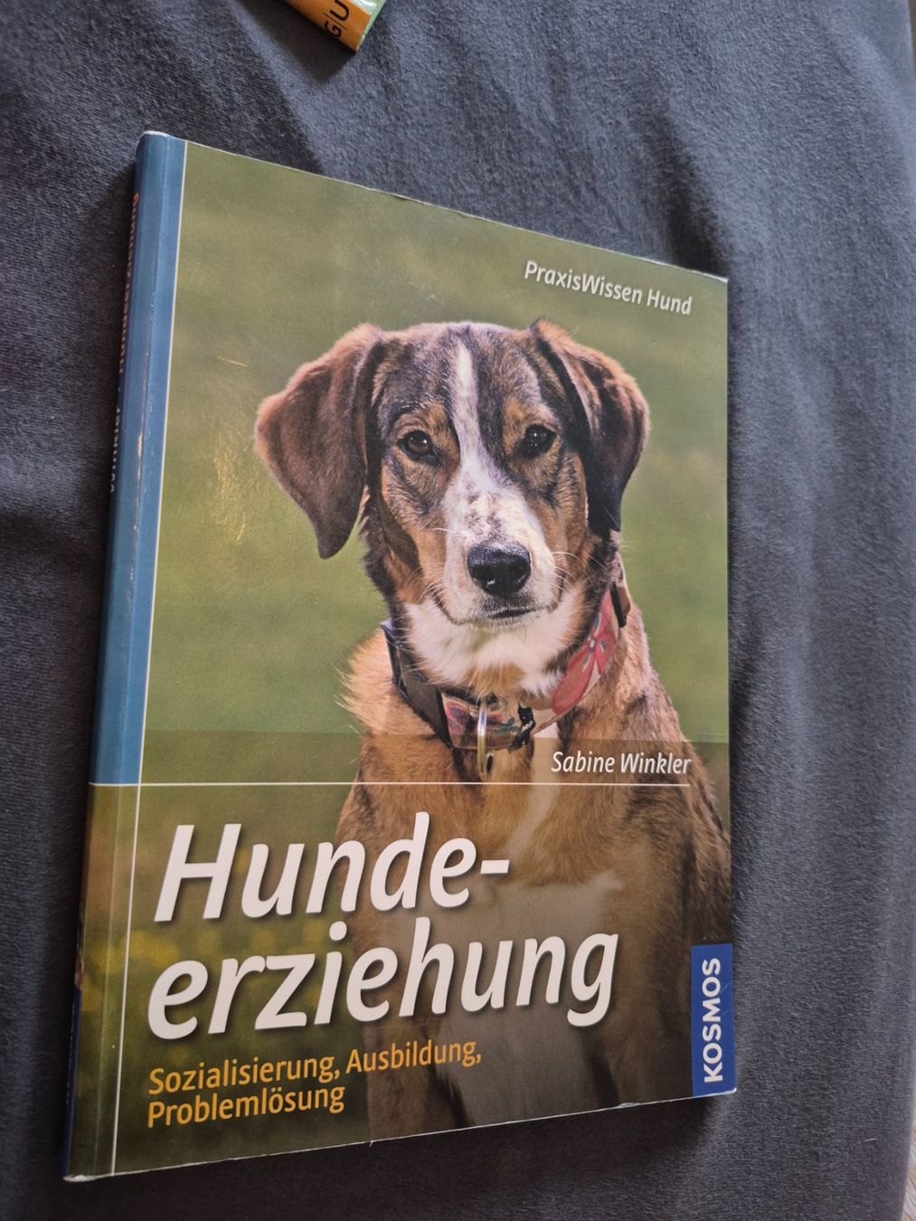 Libri: Hundeerziehung – Usato da Wettingen venduto da rue_27mw