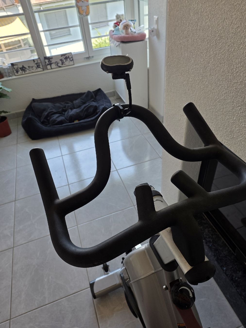 Hometrainer: Tomahawk S Series Spin Bike indoor cycle – Usato da Thalwil venduto da Derekdez 7