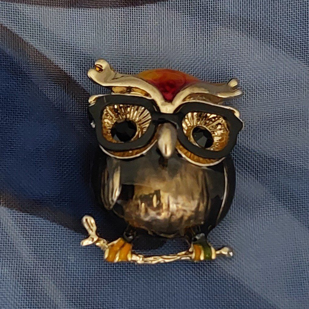 Broches & Aiguilles: Brosche Schlaue Eule – Neuf avec emballage d'origine à Zunzgen par WeilerShop 1