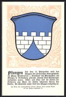 AK Pfungen, Wappen der Gemeinde