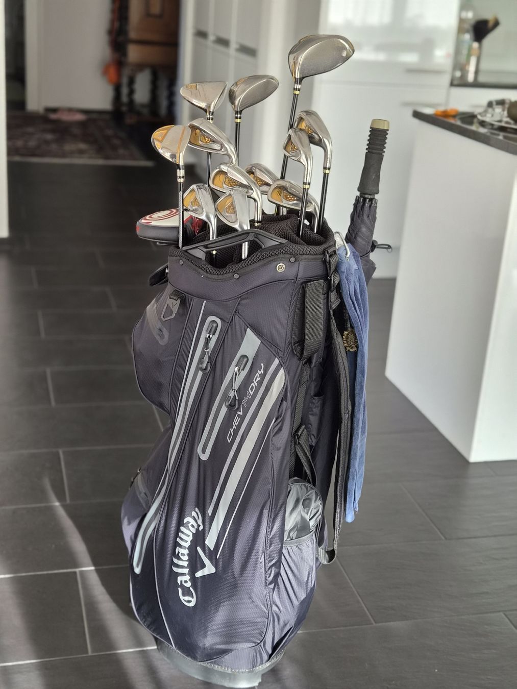 Daiwa Clubs & Sets: Golfset komplett – D'occasion à Stäfa par bro_xdw7 1