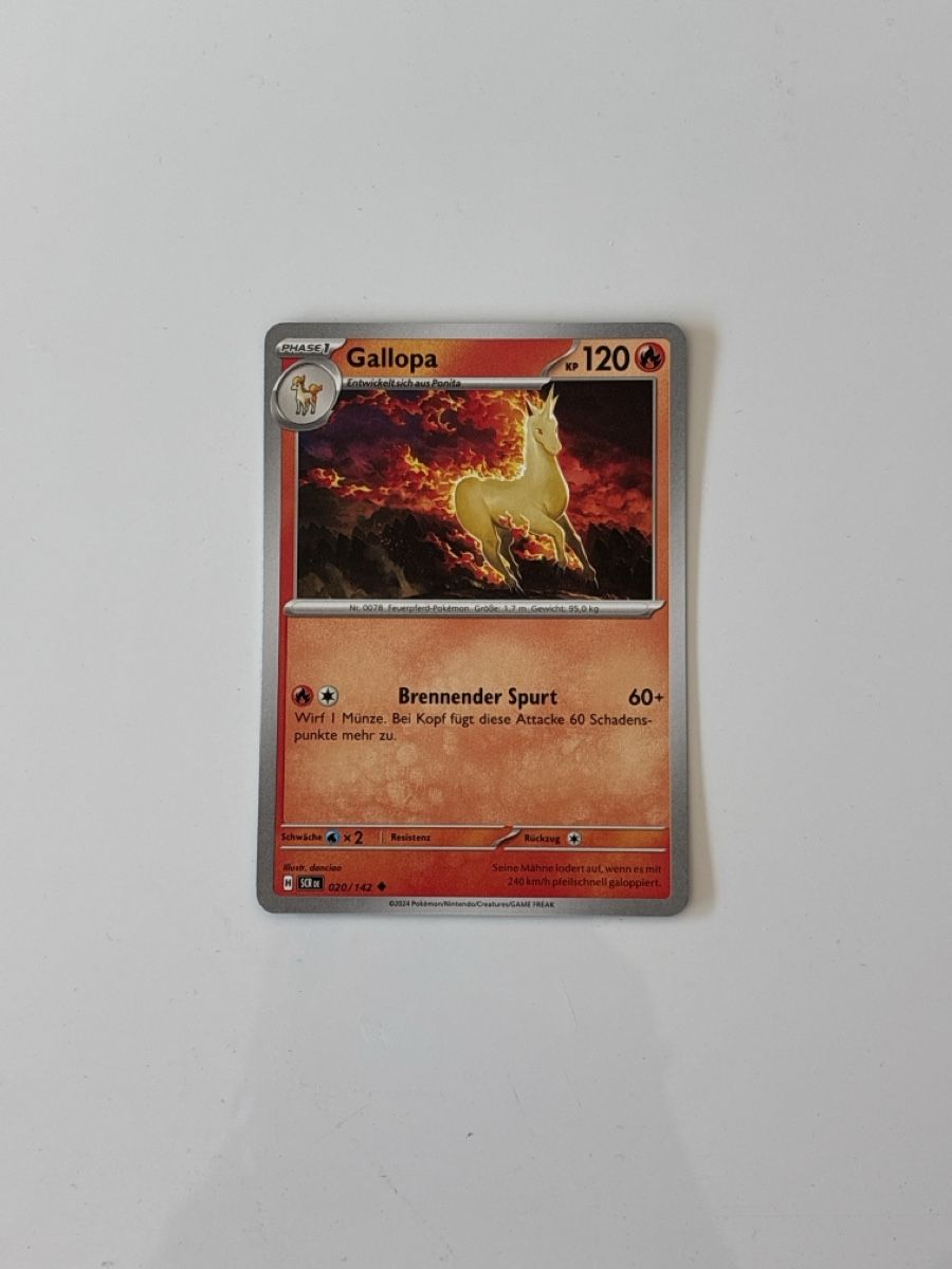 Pokémon Carte collezionabili: Pokemon Gallopa #020/142 DE – Nuovo (secondo la descrizione) da Meggen venduto da jul_28wg