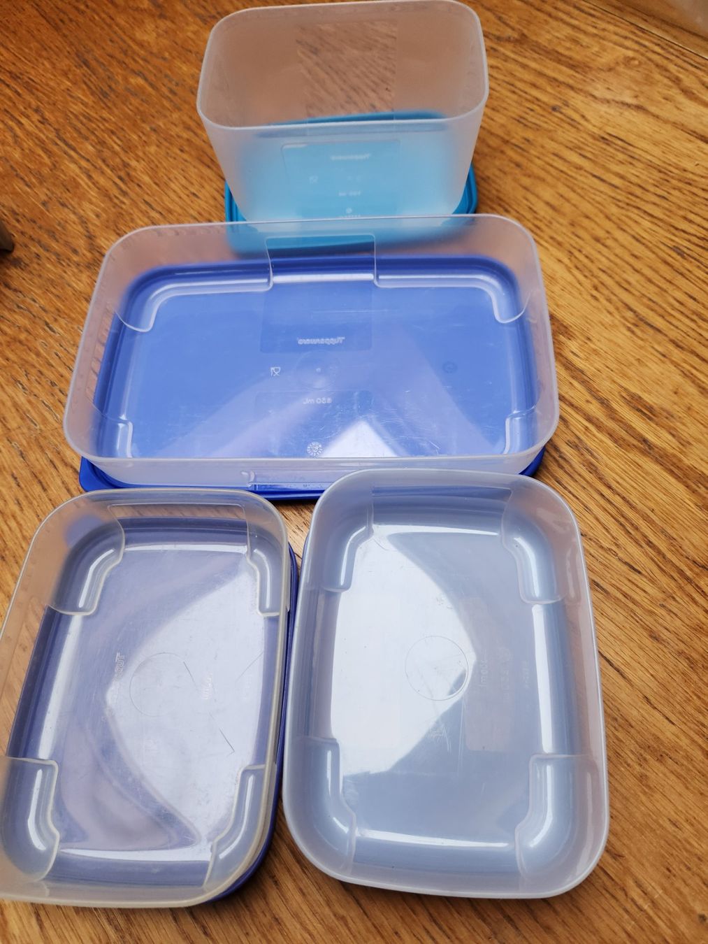 Tupperware Contenitori & Simili: Tupperware 3 Behälter flach,  + einmal 7.5cm höhe – Usato da Gstaad venduto da Kuhstall-2026 3