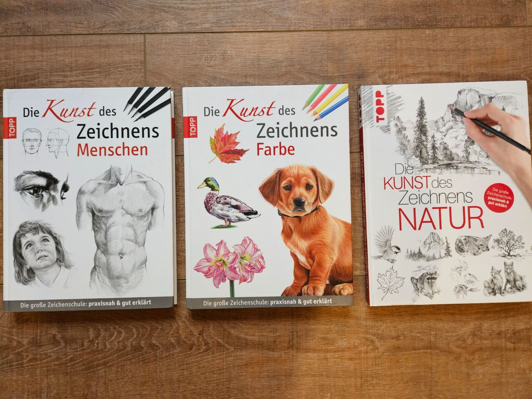 Libri: Die Kunst des Zeichnens – Usato da Grindelwald venduto da Salii