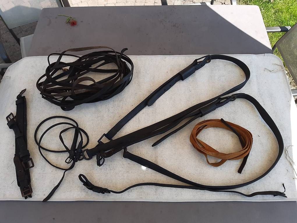 Altro in Accessori per animali: Rossgeschirr – Usato da Winden venduto da gagzi 2